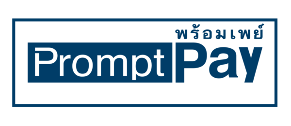 PayNow – NETS